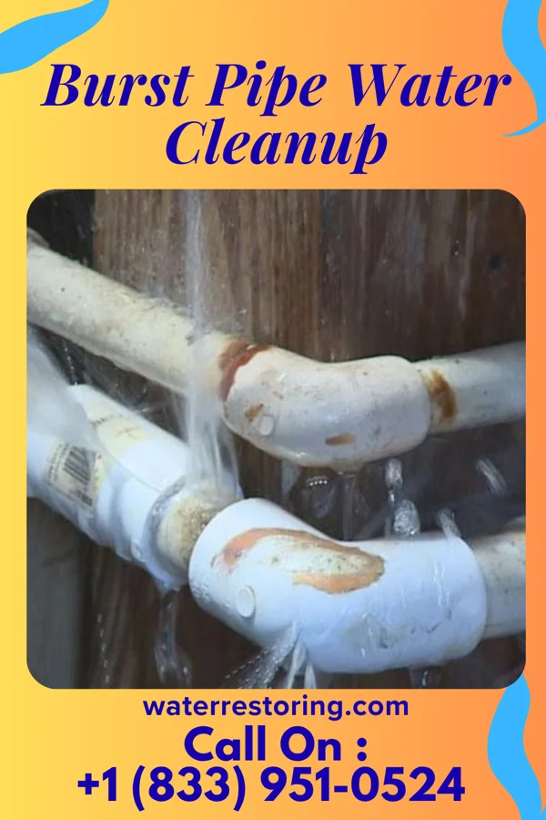 Burst Pipe Water Cleanup in De Witt, NY
