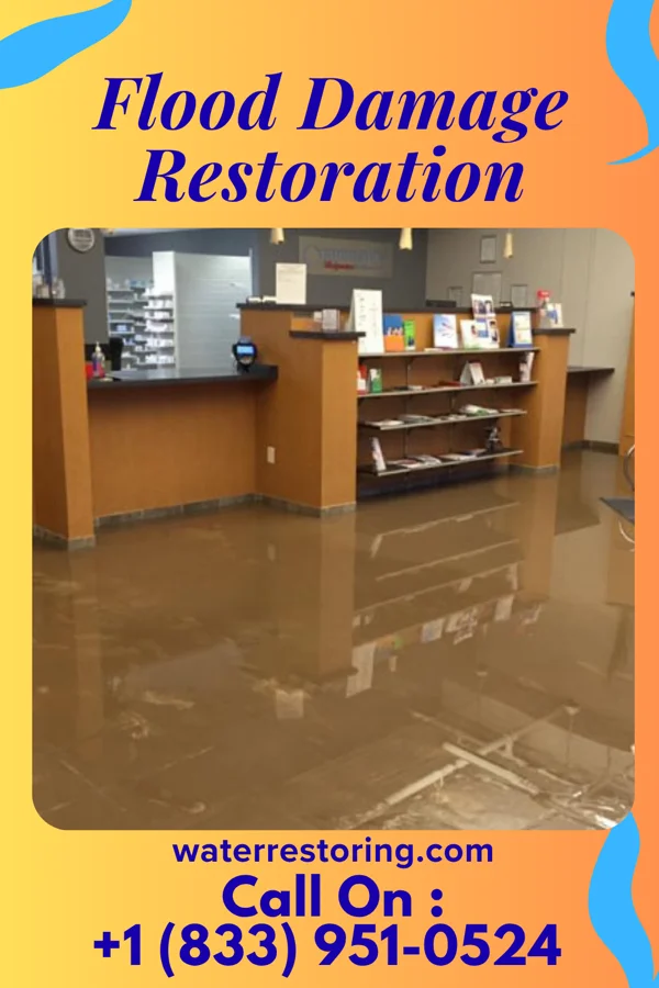 Flood Damage Restoration in De Witt, NY