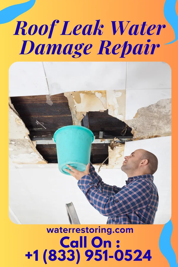 Roof Leak Water Damage Repair in De Witt, NY