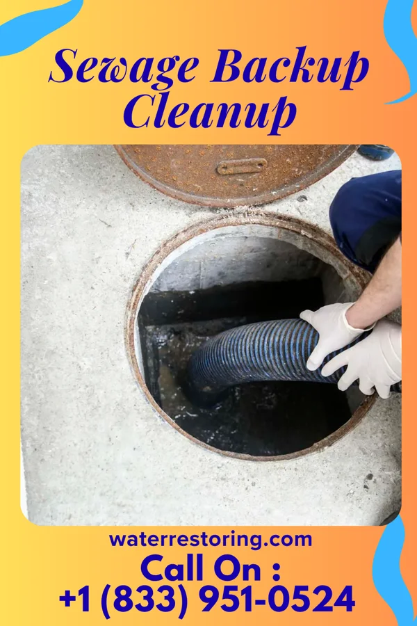 Sewage Backup Cleanup in De Witt, NY