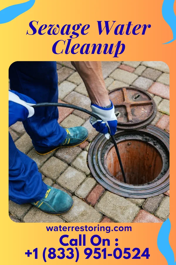 Sewage Water Cleanup in De Witt, NY