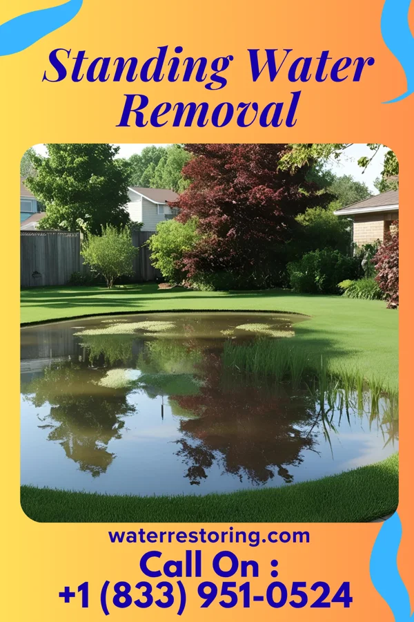 Standing Water Removal in De Witt, NY